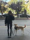 gabbyepstein Altpins Profile Picture