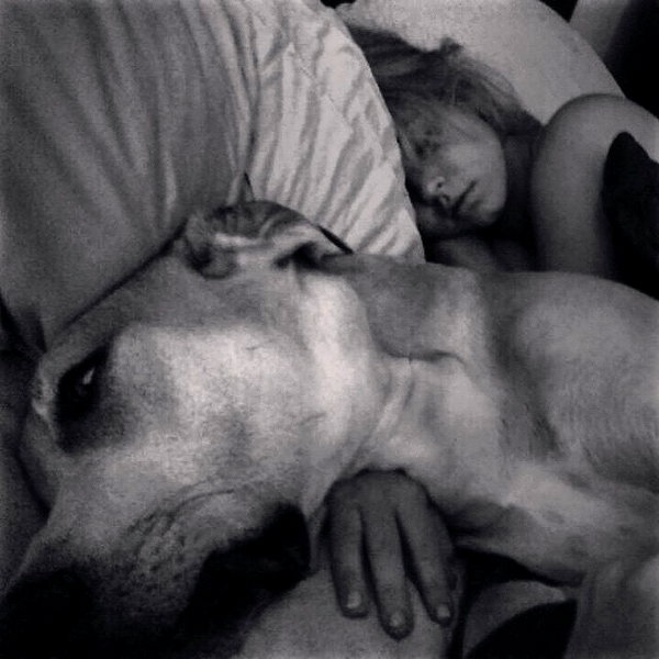 sashapieterse instagram image archive image