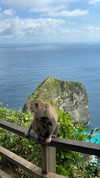 zarinamartinna Altpins Profile Picture