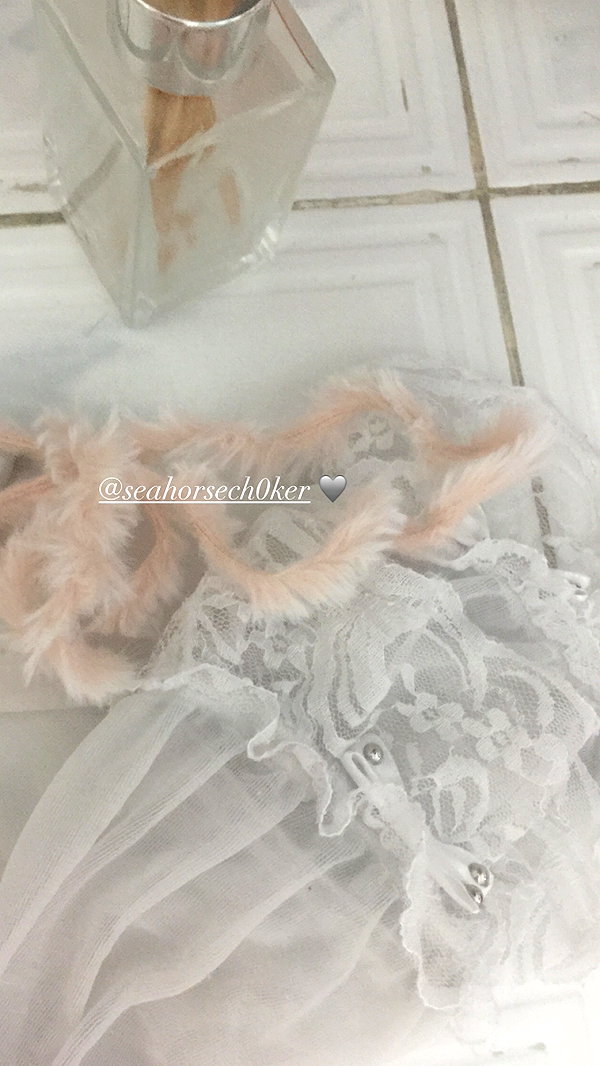 seal.lover64 instagram image archive image