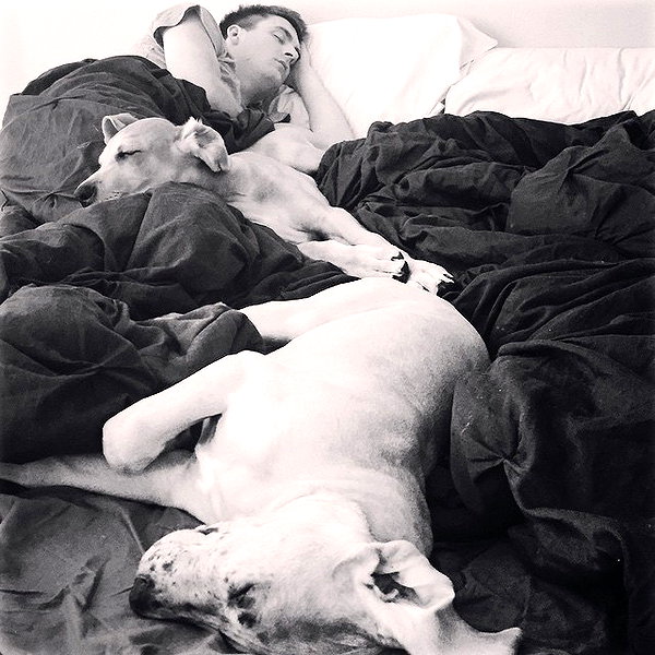 sashapieterse instagram image archive image