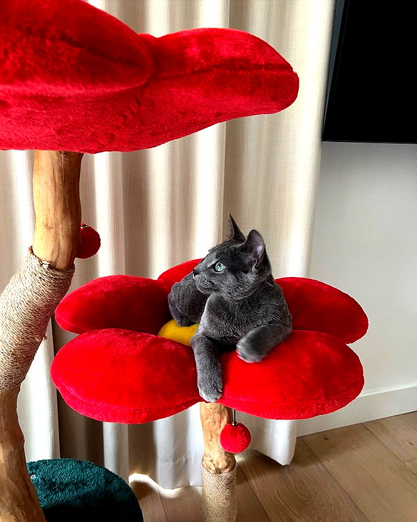 staskaranikolaou instagram image archive image