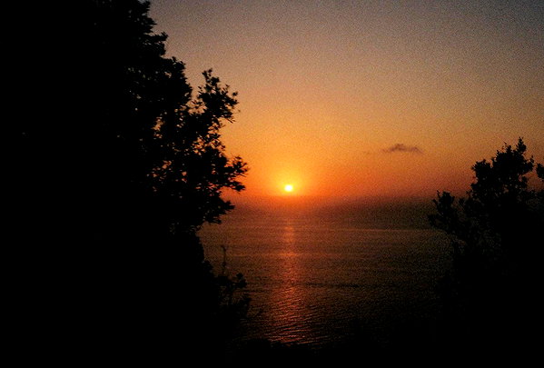 pia__kim instagram image archive image