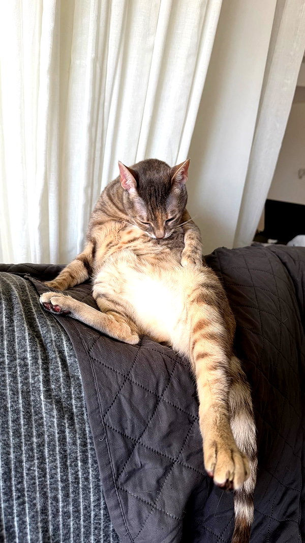 Archived image from @notchicore on Instagram