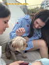 nicole.shpo Altpins Profile Picture