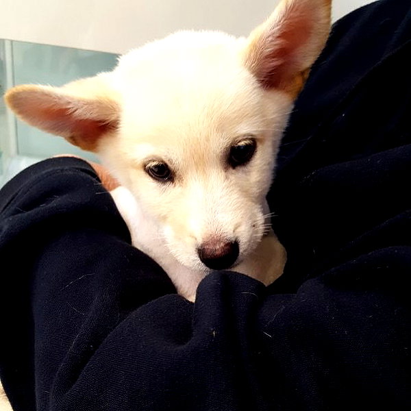daxbin instagram image archive image