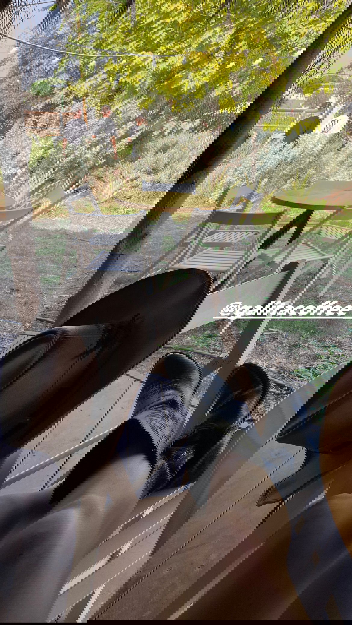 efrat_elmalich instagram image archive image