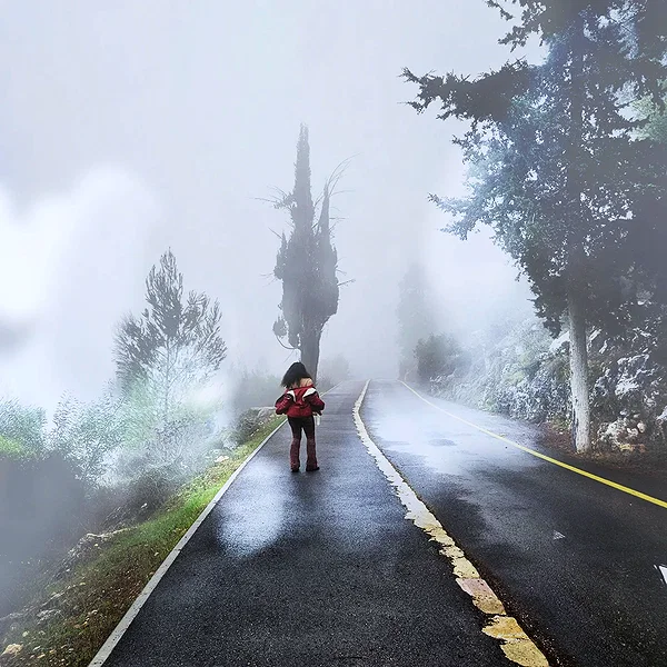 eliabzs instagram image archive image