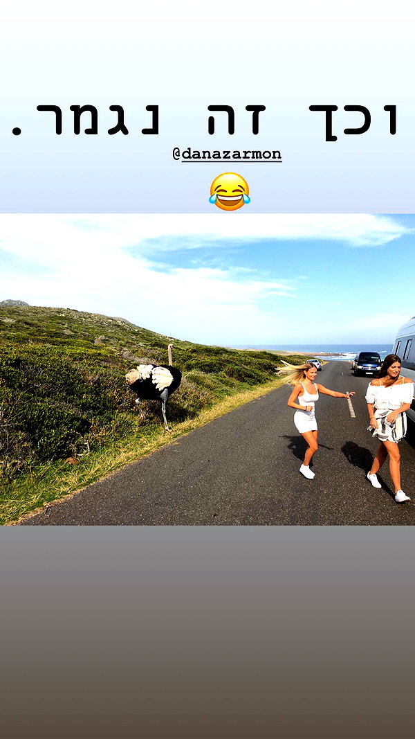 barzomer instagram image archive image