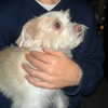 madelame Altpins Profile Picture