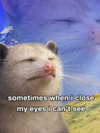 ellaexplicit_ Altpins Profile Picture