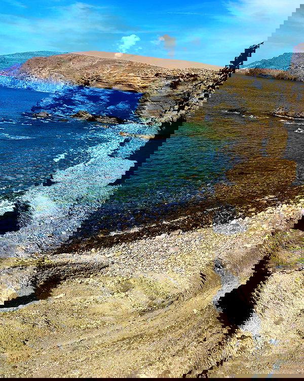 taylor.creeden taylor.creeden archive image