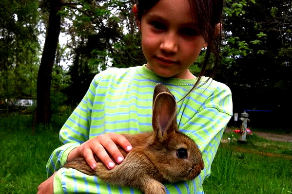 leni.bahr instagram image archive image