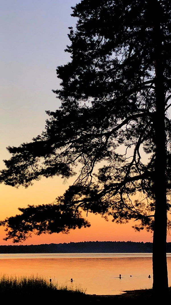nasstellaa instagram image archive image