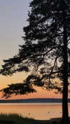 nasstellaa Altpins Profile Picture