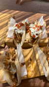 michalcohen___ Altpins Profile Picture