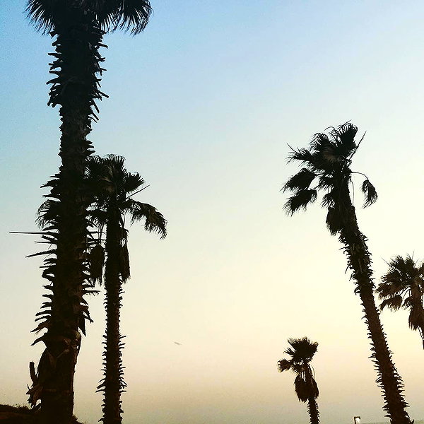romi_henenson instagram image archive image