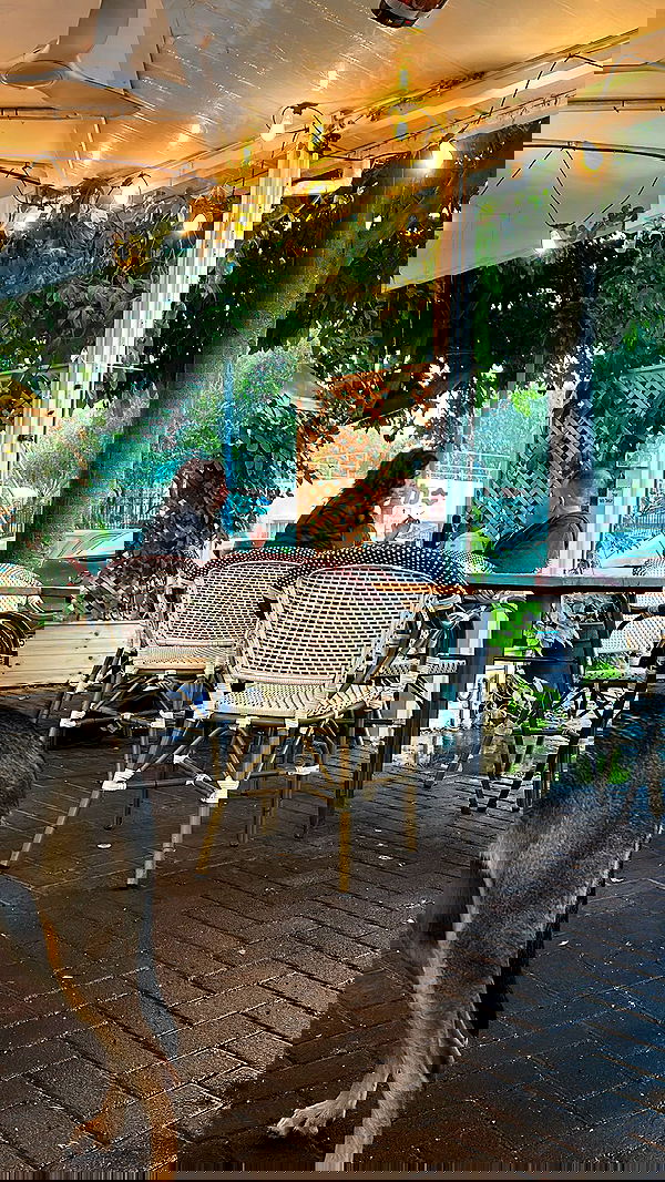 moonliliaght moonliliaght archive image