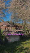 alisen.mari Altpins Profile Picture