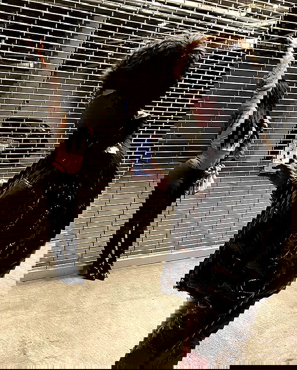 u1ltra u1ltra archive image