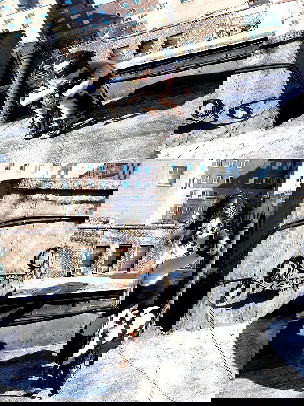 rchhhll rchhhll archive image