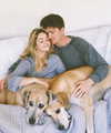 sashapieterse Altpins Profile Picture