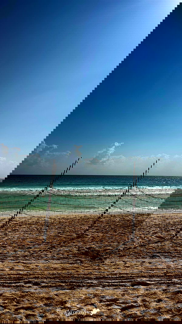 taylor.creeden taylor.creeden archive image