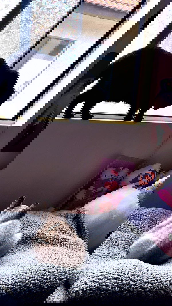 suikomuu suikomuu archive image