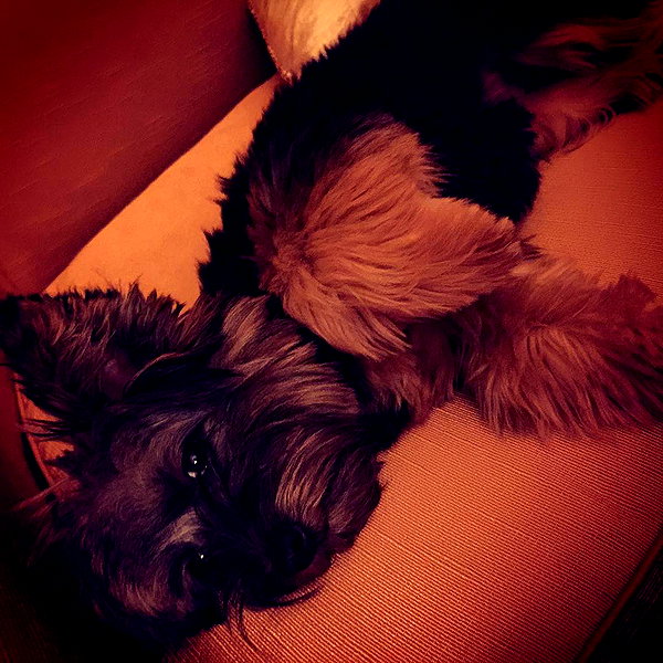 lilbieber instagram image archive image