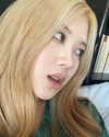 allissashin Altpins Profile Picture