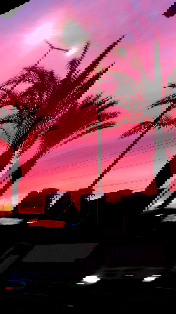 yeela__ yeela__ archive image