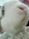 danielle.mercedie Altpins Profile Picture