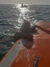 michal_cohen017 Altpins Profile Picture
