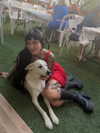strawberryshanz Altpins Profile Picture