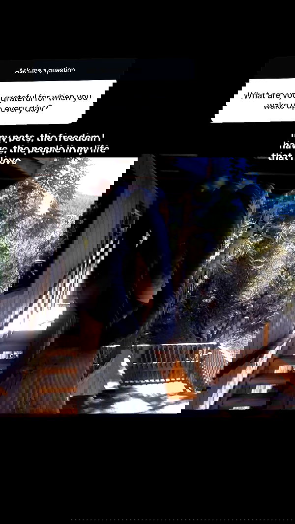 zommmbri zommmbri archive image