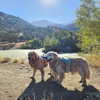muze Altpins Profile Picture