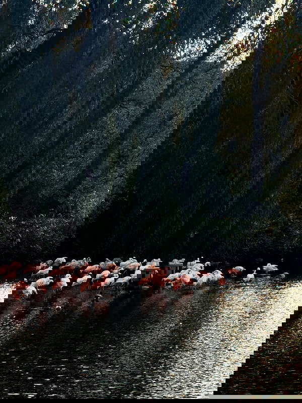 mishel_llll mishel_llll archive image