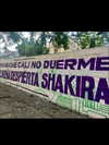 shakira Altpins Profile Picture