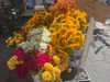 sydney_melman Altpins Profile Picture