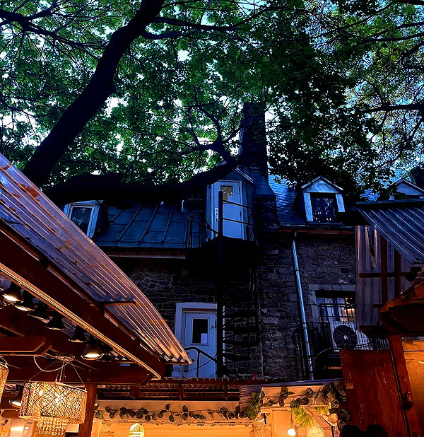 taratornquist instagram image archive image
