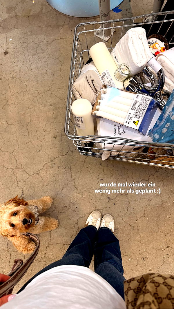 sophiecharlotth instagram image archive image