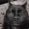 catl0verr69 Altpins Profile Picture