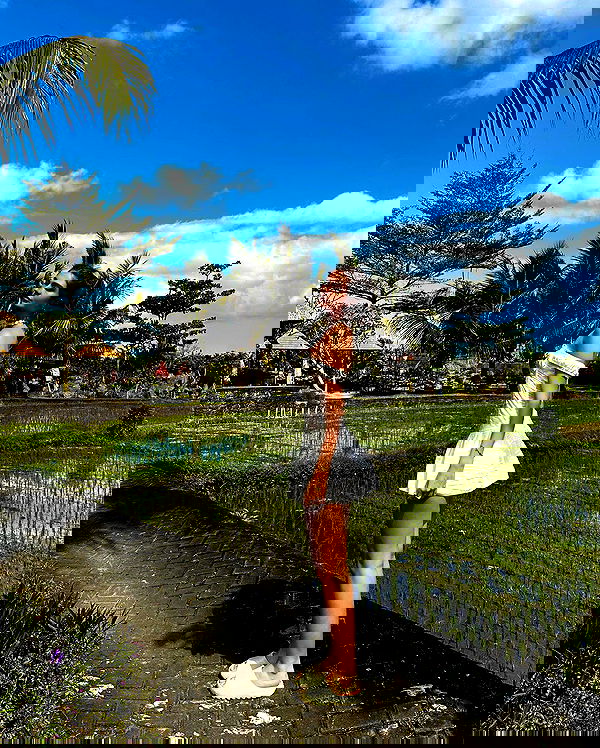 taylor.creeden taylor.creeden archive image