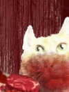 vollkova__ Altpins Profile Picture