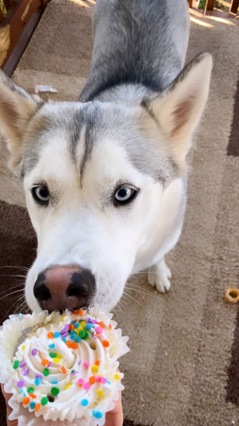 dracuina instagram image archive image