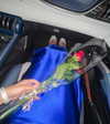 mishel_d_ Altpins Profile Picture