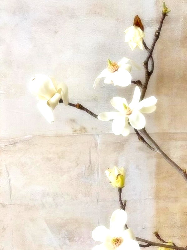 h111allyy instagram image archive image