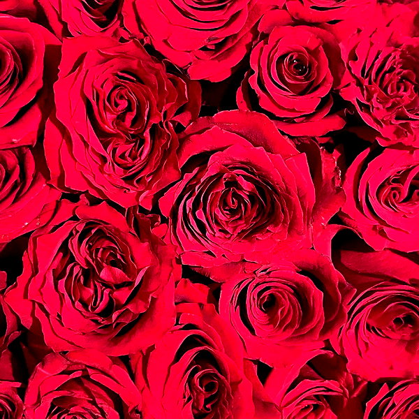 lindsaylohan instagram image archive image