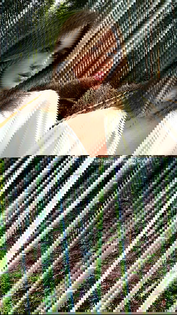 taylor.creeden taylor.creeden archive image