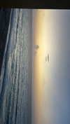 olivia.bolgerr Altpins Profile Picture